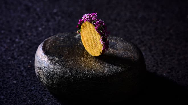 agnel d'or