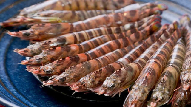 Kurumaebi Senka Tempura Teissoku