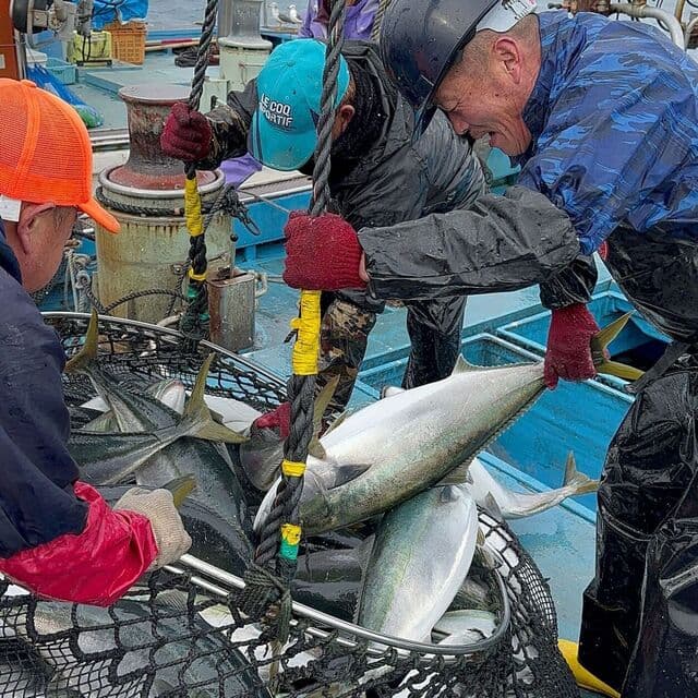 鮨 つぐみ