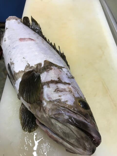 Tomizushi