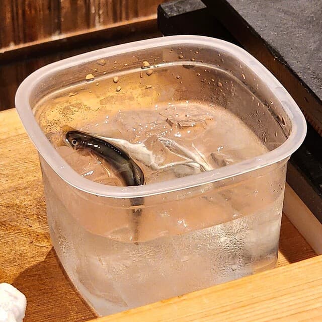 旬天 伸