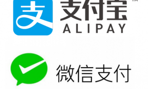 【最新 Alipay・WeChatPayment】オンライン決済 導入事例まとめ！